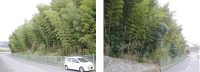 201003_02.jpg