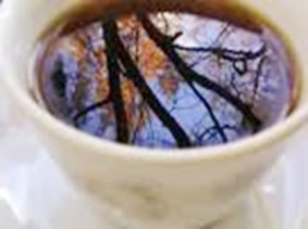 201011_01.jpg