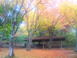 201111_01.jpg