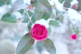 201202_01.jpg